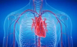 Heart transplant cost in India